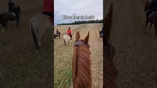  #equestrian #horse #pony #horseriding #rider #galop #canter #fast #running #horses