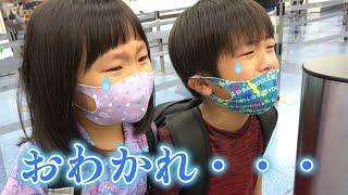 【おわかれ】いずちゃんとみなくんがオーストラリアへ発ちます！　年子の留学　教育【まりちゃんいずちゃんチャンネル】