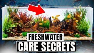 30 Freshwater Aquarium Tips Every Beginner Needs To Know