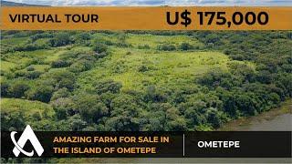 NEW! VIRTUAL TOUR of Farm for Sale in the Island of Ometepe | Lots for sale in Nicaragua