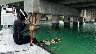 When All Else Fails... Bridge Diving | Spear Clean Cook