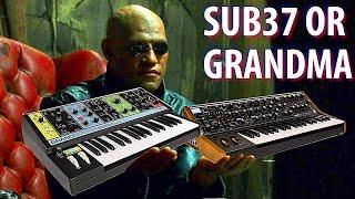 SYNTH VS SYNTH -- Moog SUB 37 or Moog Grandmother?