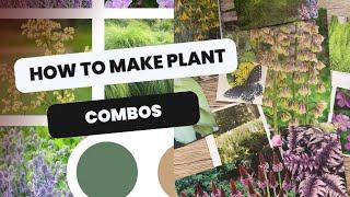  How to Combine Plants - Making Plant Combinations 