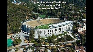 The Sights, Sounds and Traditions of Cal Football Gameday