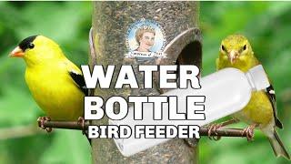 DIY Water Bottle Bird Feeder