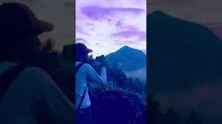 Tripping vibe