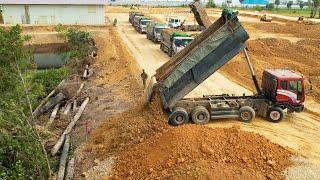 Wonderful Activities 25Ton Dump Trucks Transport Soil Additional Along The Pond Land Boundary