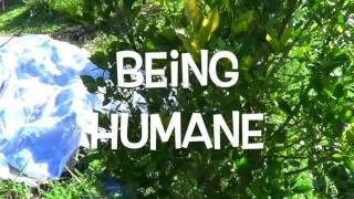 Regenerate Ecology & HumanEity