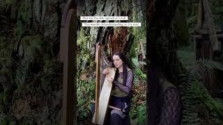 Fairy Enchantment and the Elf Queen... in Middle English  #fairy #folklore #legend #medieval