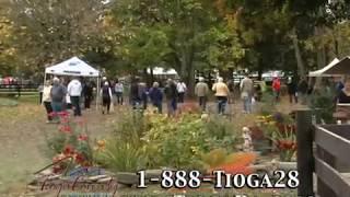 Fall Activities | Visit Potter-Tioga, PA