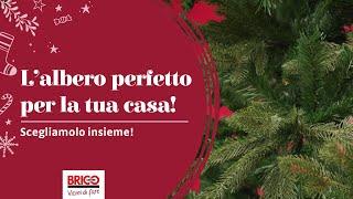 L'albero di Natale perfetto per la tua casa - Scegliamolo insieme!