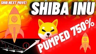 SHIBA INU Crypto Coin Pumped 750% | What Next?