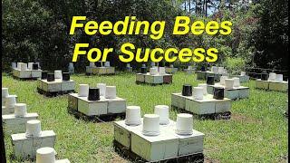 The Chemistry Behind Feeding Bees Part 1