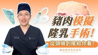 小豬的隆乳大冒險：完整手術過程記錄 