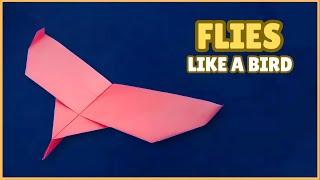 How to Make a Paper Plane Fly Like an Eagle - PAPER PLANE THAT FLIES LIKE AN EAGLE