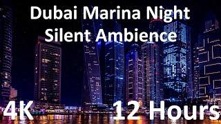 Dubai Marina Night Skyline - 4K Animated Photo, Silent Screensaver, Study, Meditate, Relax, Zone Out