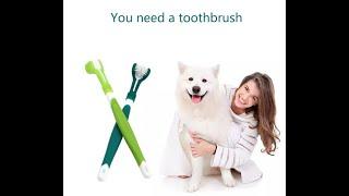 Pet Toothbrush Three-Head Toothbrush