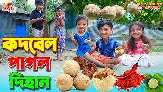 কদবেল পাগল দিহান | Kothbell pagol dihan | Fairy Angel Story In Bengali |