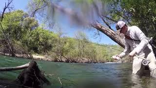 Norcal on the Fly Secret Spot with Matt Schimmel