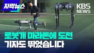 4족 로봇 세계 첫 마라톤 풀코스 도전 / KBS 2024.11.16.