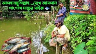 আলহামদুলিল্লাহ,,,দেখে আসলাম পাংগাশ মাছের সাইজ 