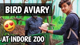 INDORE ZOO BIRD AVIARY  || BIRD HOUSE INDORE || DHRUV VLOGS