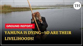 Polluted river, polluted promises: The Yamuna’s silent crisis