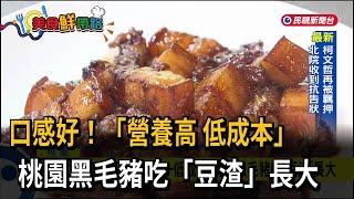 口感好！ 「營養高+低成本」桃園黑毛豬吃豆渣長大－民視新聞