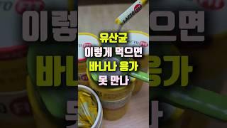 유산균 이렇게 먹지마세요! 효과 줄어요. 락토핏 프로바이오틱스.