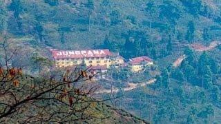 जुङपाना टि गार्डन,Jungpana Tea Garden, Darjeeling Kharsang jungpana tea Mountain village.