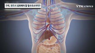 구리, 반드시 섭취해야 할 필수 요소이다? / YTN 사이언스