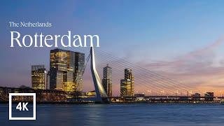 Rotterdam, The Netherlands Walking Tour | See AIDA Cruises and Erasmus Bridge | 4K 60FPS