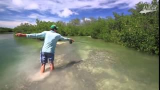 Tarpon Strip Strike - Fly Fishing Nation Instagram