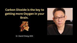 Carbon Dioxide is the key to getting more Oxygen in your Brain