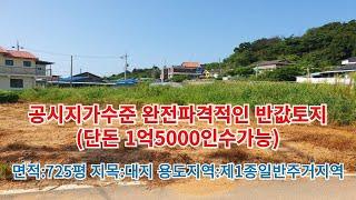 급매물과 경매직전 반값매매TV