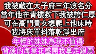 我被藏在太子府三年沒名分，當年他在青樓救下我被誇仁厚，可在高門貴女想爬上他床時，我將床單抖落乾淨出府，年輕的妹妹為我不值得，背後的海棠花盛開我拿走銀票| #為人處世#生活經驗#情感故事#養老#退休