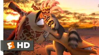 Madagascar: Escape 2 Africa (2008) - King Julian's the Match Maker Scene (6/10) | Movieclips