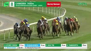 National Sprint 2025 - ZOUATICA (Qlty LR) Listed Canberra 9 March