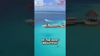 Discovering the Hidden Paradises of our Planet: Prepare to be Amazed! #shorts #short