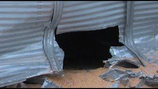 North Dakota farmhand survives being trapped in a grain bin for more than an hour