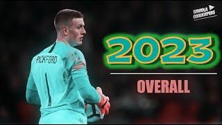 Jordan Pickford ► Crazy Saves Show - Overall - HD