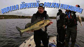 UUDELLA JÄRVELLÄ | PALJON LIVEKUVAA #KALASSA 69