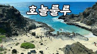 하와이 호놀룰루 여행️ - 버텨낸 자의 하와이여행, 하와이맛집, 하와이호텔, 스노쿨링, 크루즈 투어