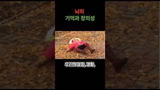 뇌의 기억과 창의성