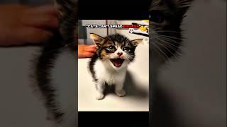 Cat can't be speak ️#sigma #edit #shorts #trollface #viralshorts