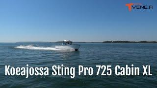 Koeajossa Sting Pro 725 Cabin XL