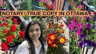 Notary-True Copy in Ottawa, Canada process with Minimum Cost| Vertical Gardening in Apartment 