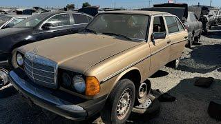 1982 Mercedes-Benz W123 at Junkyard