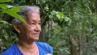 El Jardin de Romelia  -  Plantas medicinales de la amazonia Peruana