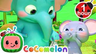 Don't Forget to Catch Your Sneeze! | CoComelon | Nursery Rhymes & Kids Songs